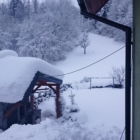 Zakatek Pienin Lejlighed Grywald Eksteriør billede